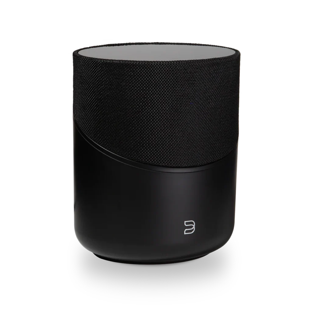 Bluesound Pulse M product image